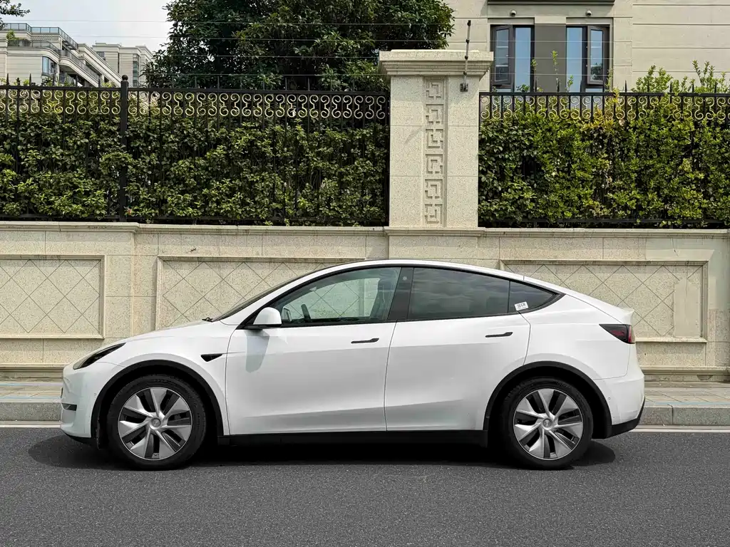 Tesla Model Y — миниатюра 3