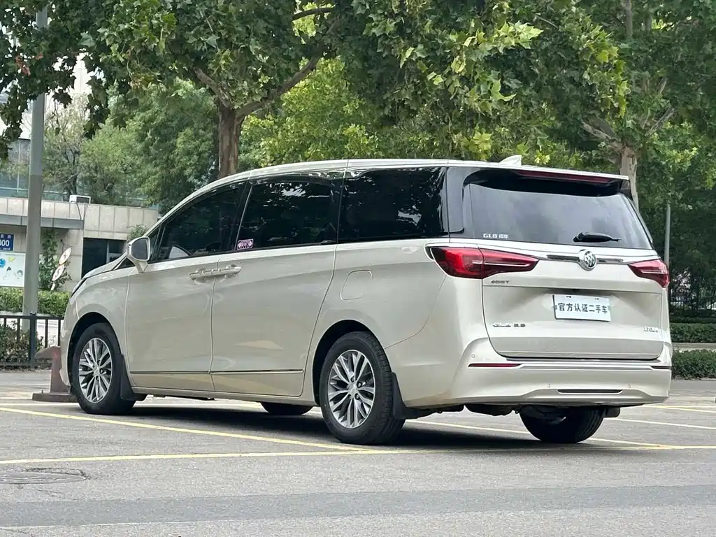 Buick GL8 — миниатюра 3