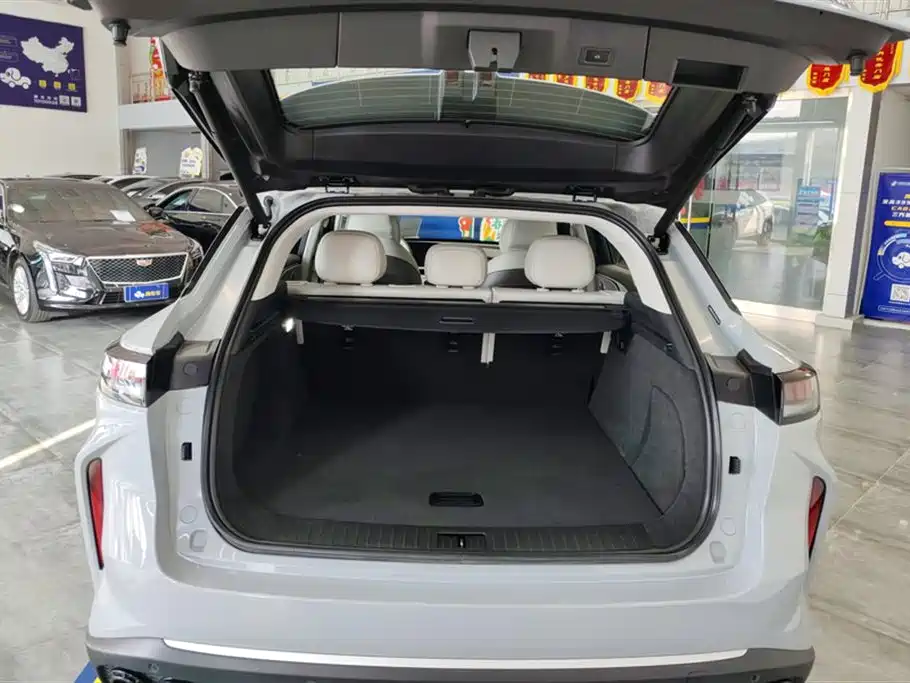 ASTRAL PATH YAOGUANG C DM