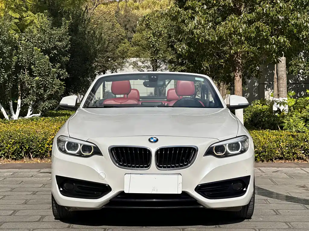 BMW 2 SERIES
