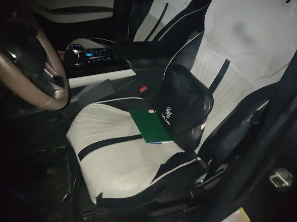 BYD Qin PLUS — миниатюра 11