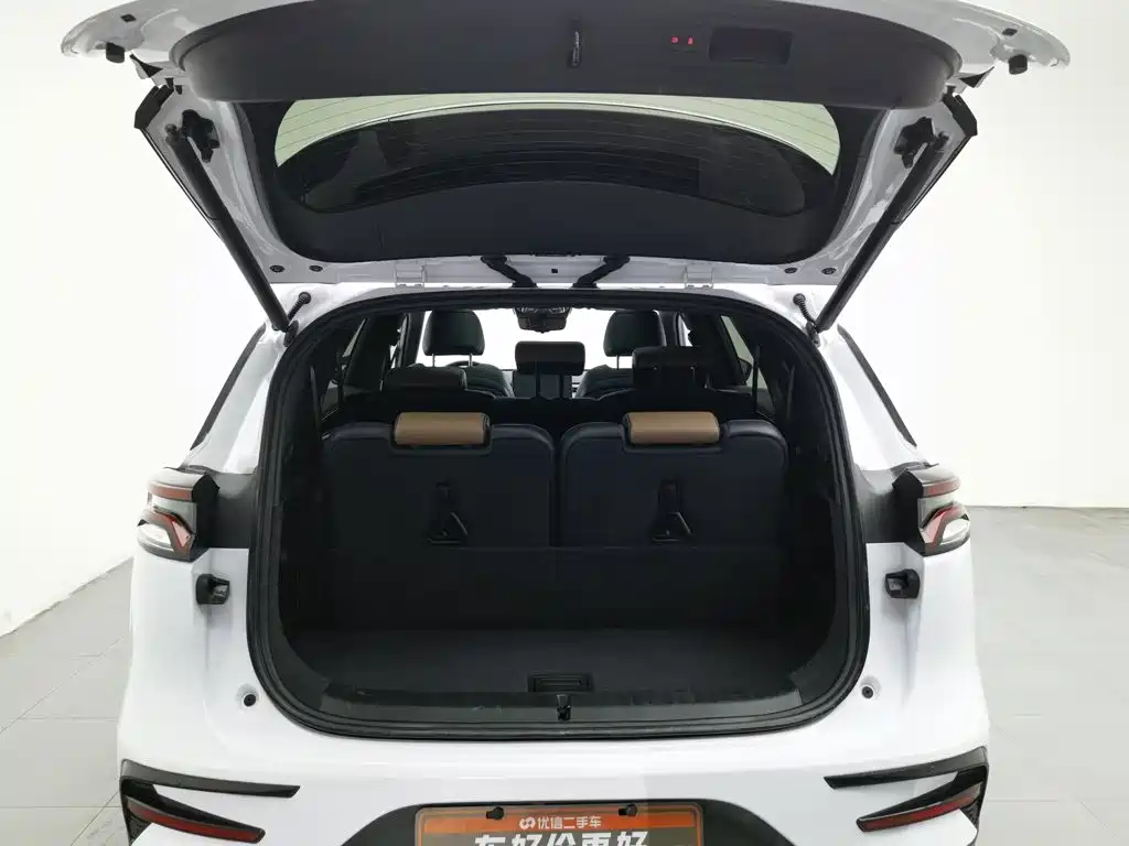 BYD Tang New Energy — миниатюра 16