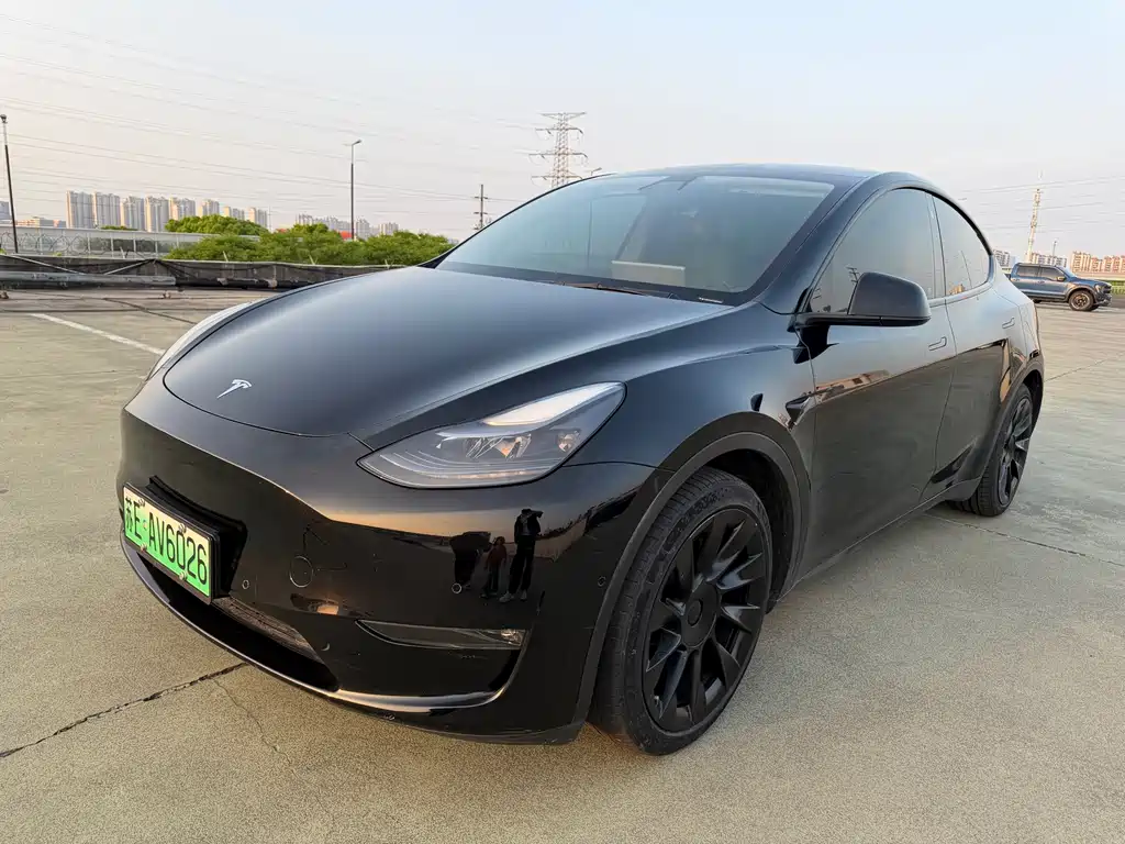 Tesla Model Y 2021
