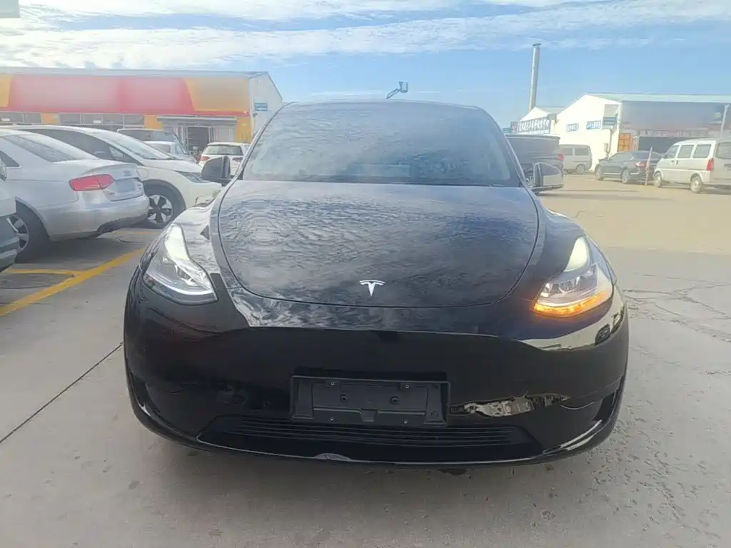 Tesla Model Y — миниатюра 3