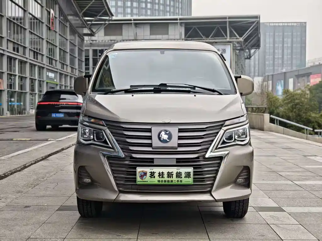 DONGFENG LINGZHI NEW ENERGY