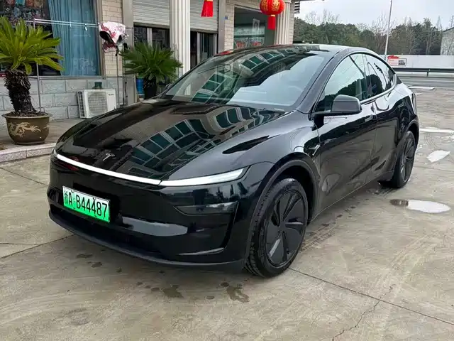 TESLA MODEL Y 2025