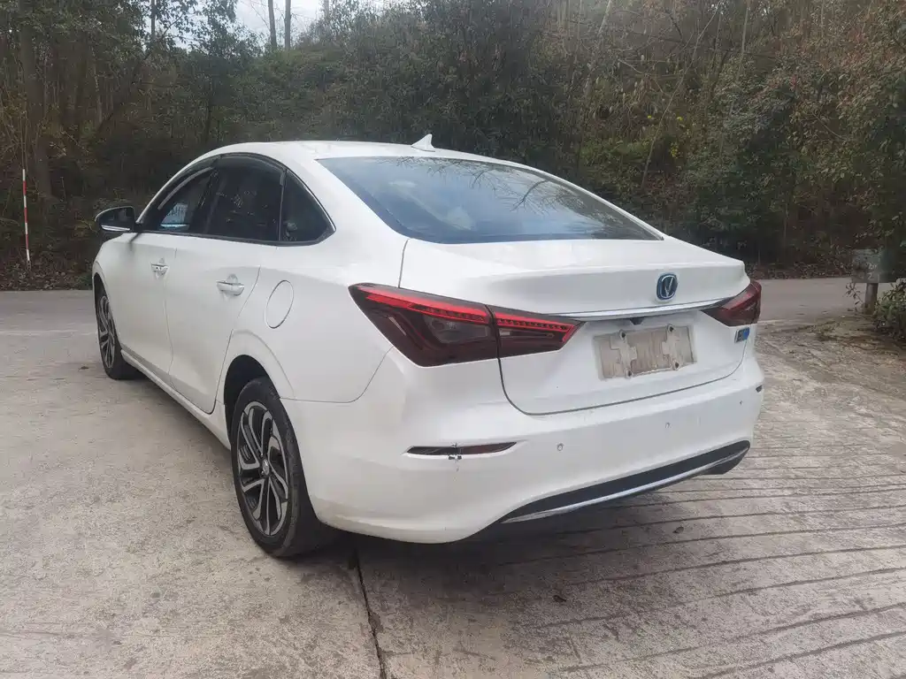 CHANGAN YIDONG NEW ENERGY