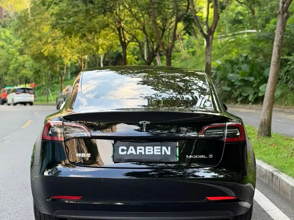 Tesla Model 3 — миниатюра 8