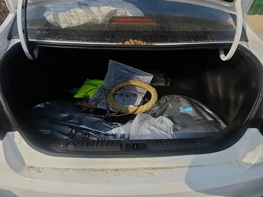 GEELY AUTOMOBILE VISION