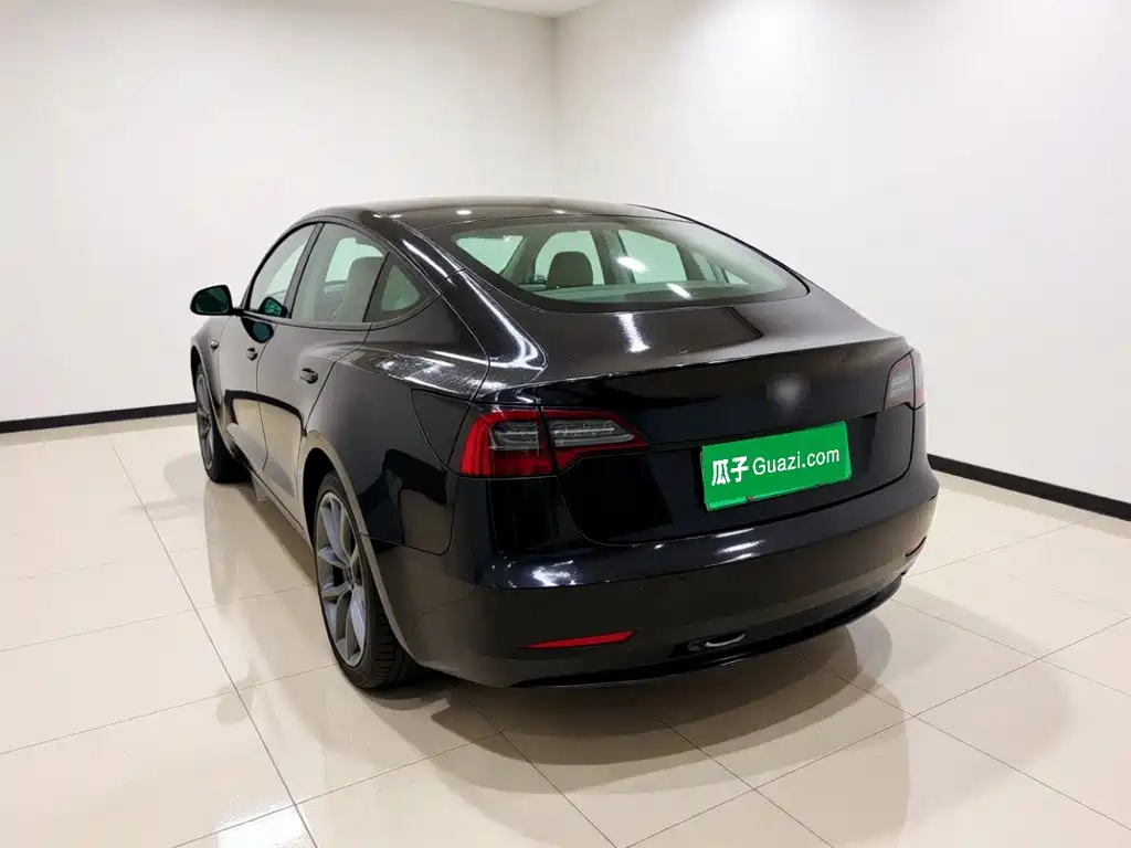 Tesla Model 3 — миниатюра 4