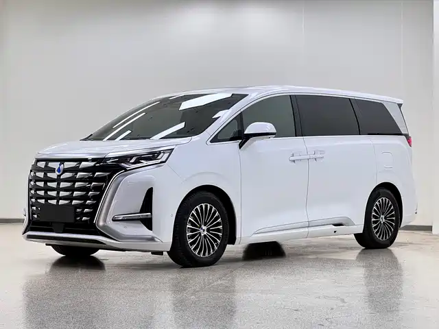 2023 Denza D9