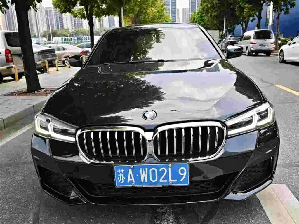 BMW 5 Series — миниатюра 3