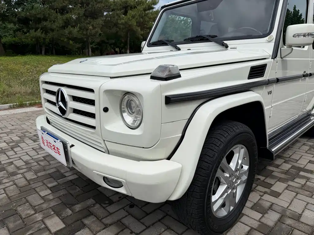 Mercedes-Benz G-Class G 2010 G 500