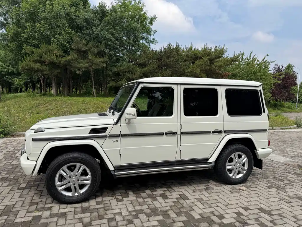 Mercedes-Benz G-Class G 2010 G 500
