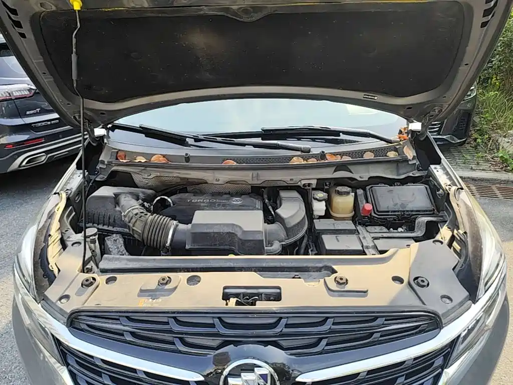 Buick GL8 — миниатюра 20