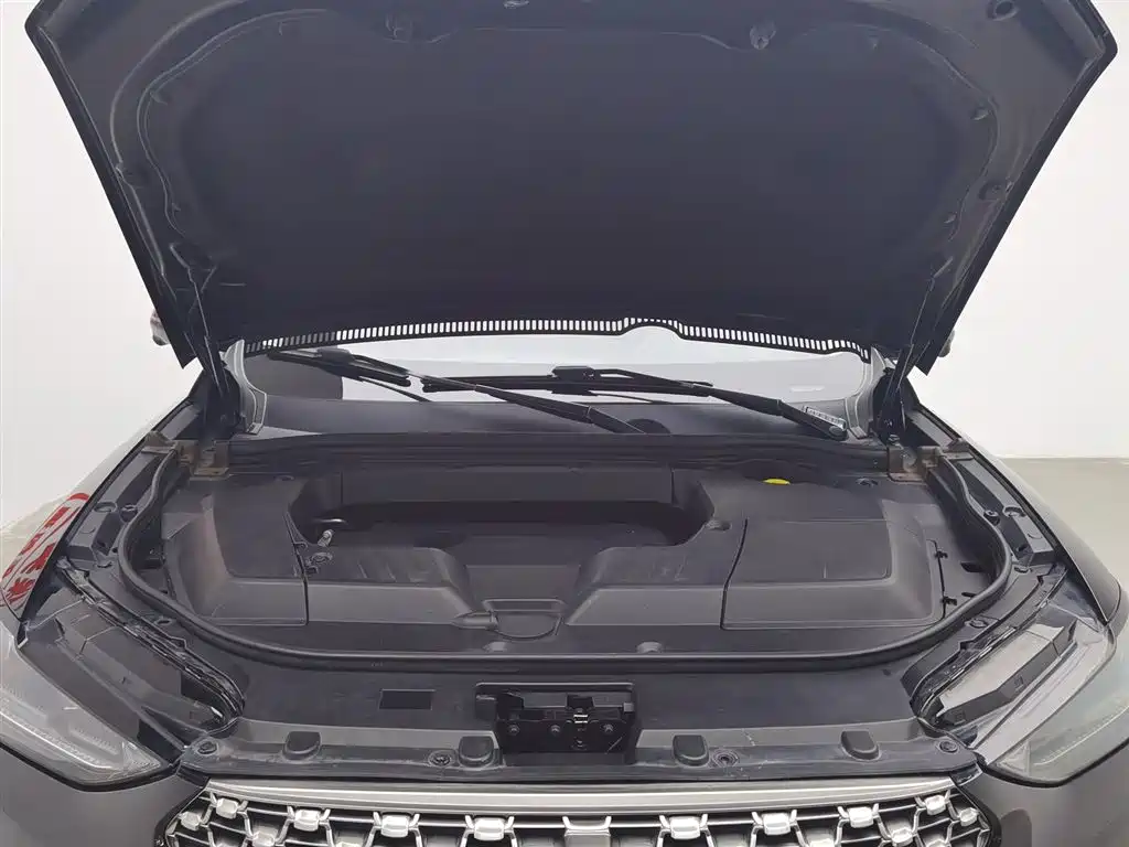 WEI PAI WEI BRAND VV6