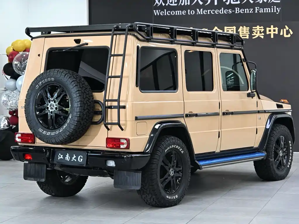 Mercedes-Benz G-Class G 2010 G 500