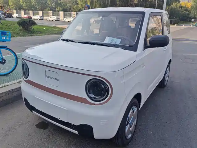 GEELY GALAXY PANDA 2025
