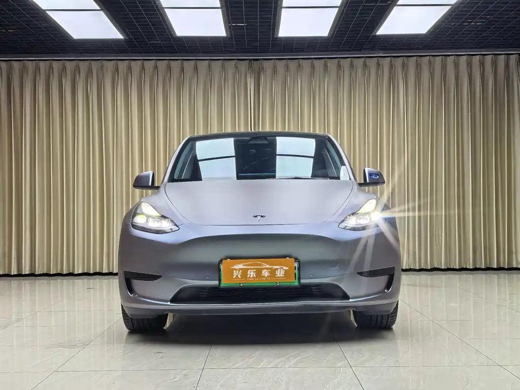 Tesla Model Y — миниатюра 2