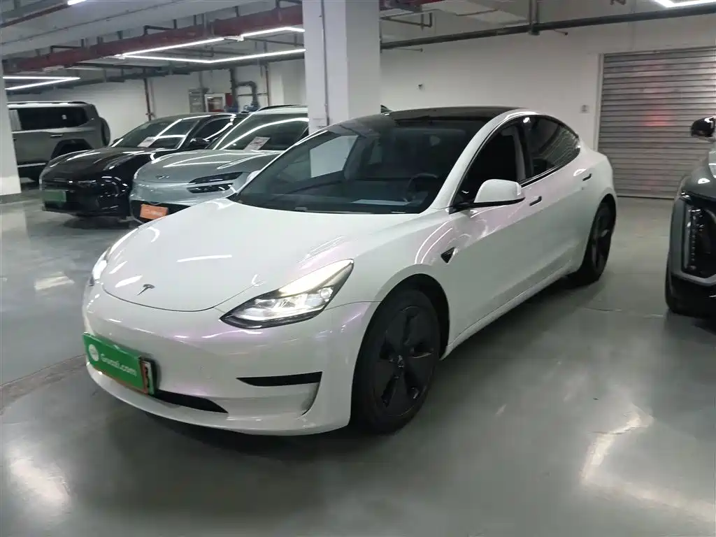Tesla Model 3 2021