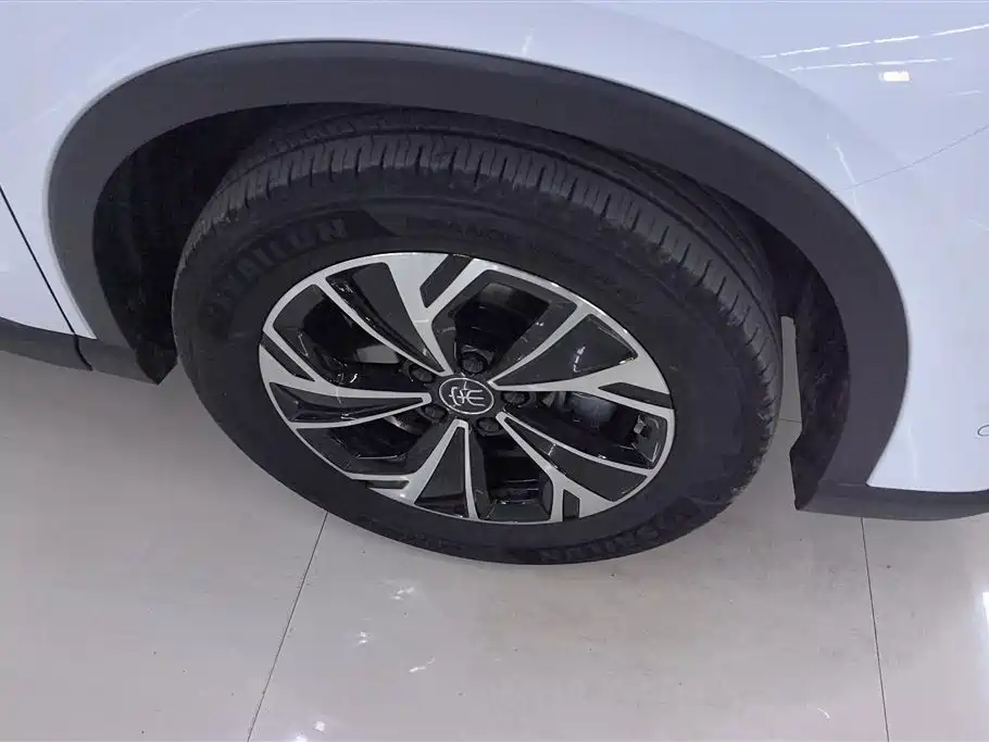 BYD SONGJIANG NEW ENERGY