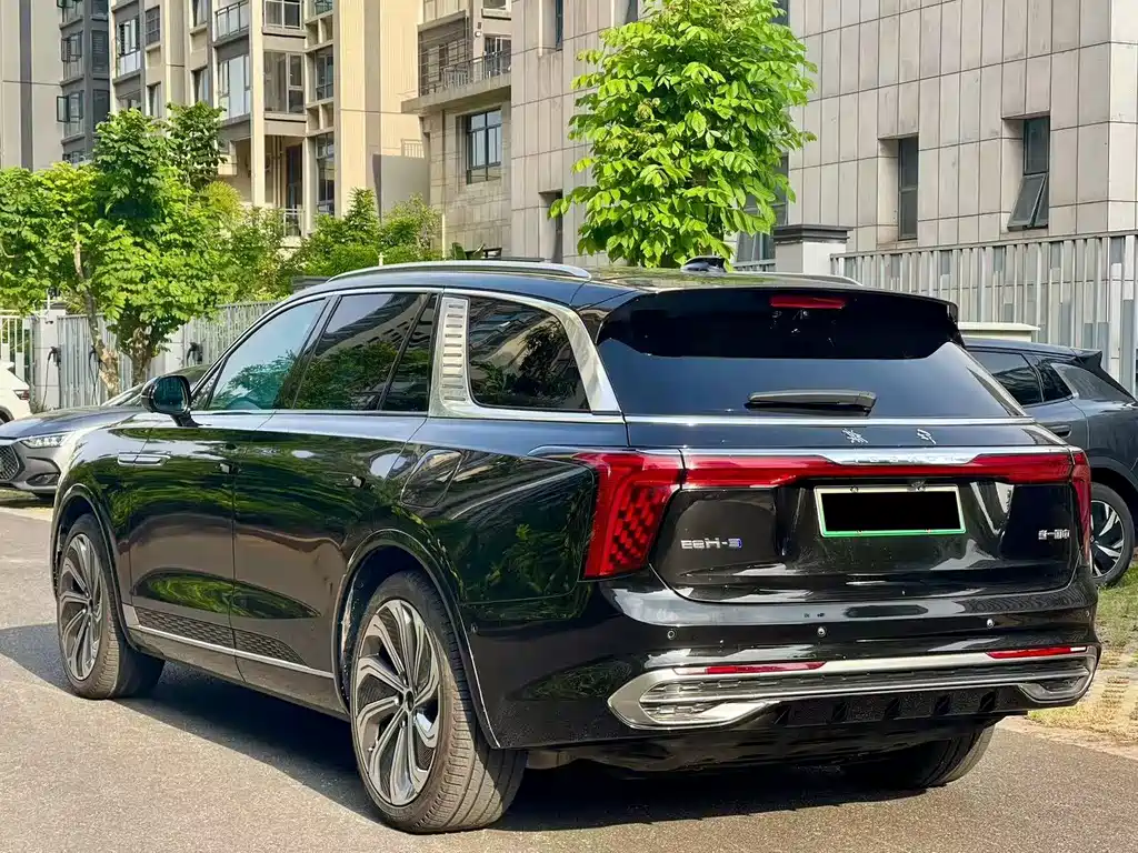 Hongqi Hongqi E-HS9 — миниатюра 7
