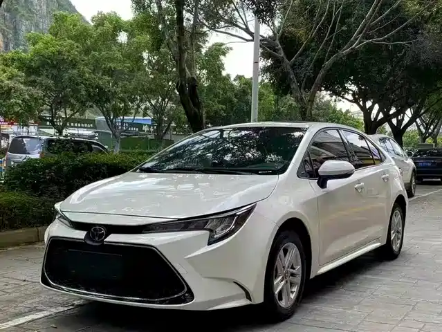 TOYOTA LEI LING 2020
