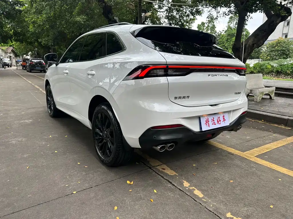 Fengxing Fengxing T5 EVO — миниатюра 6