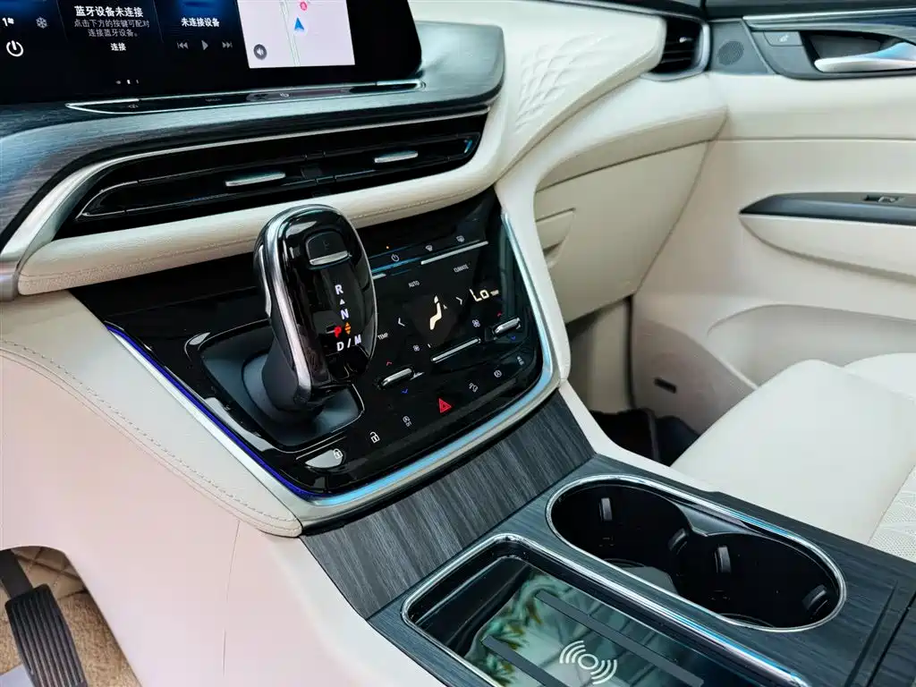 Buick GL8 2021 Avenir мест