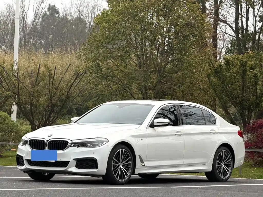 BMW 5 Series 2020