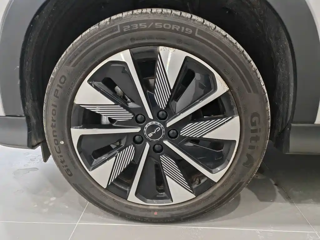 BYD SONGJIANG NEW ENERGY