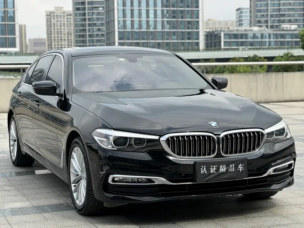 BMW 5 Series — миниатюра 3