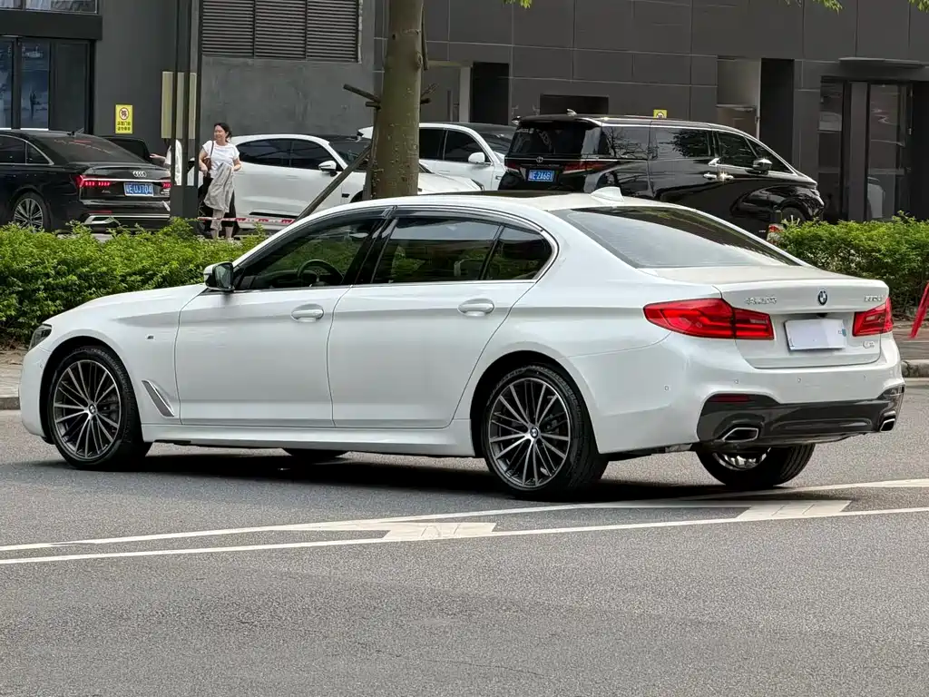 BMW 5 Series 5 2020 530Li Premium M Sport