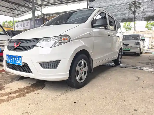 2021 Wuling Motors Hongguang