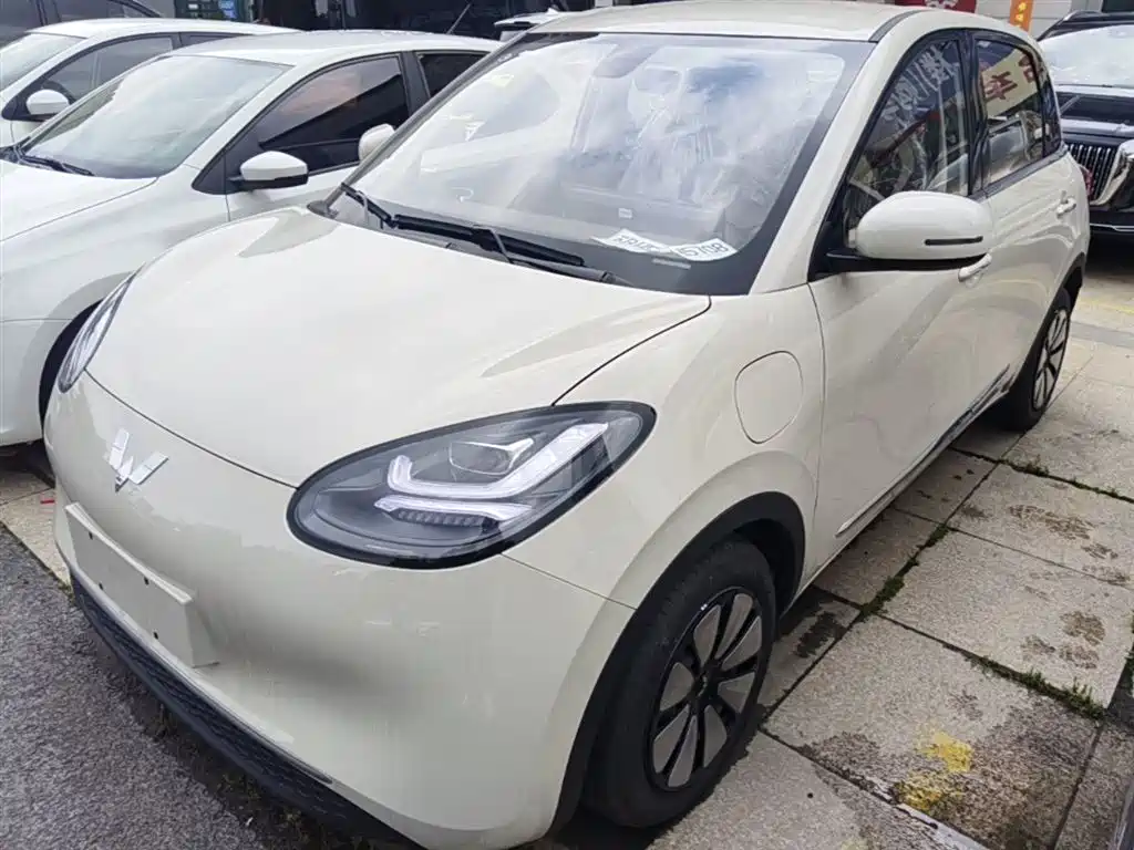 Wuling Binguo 2025 333km Enjoy