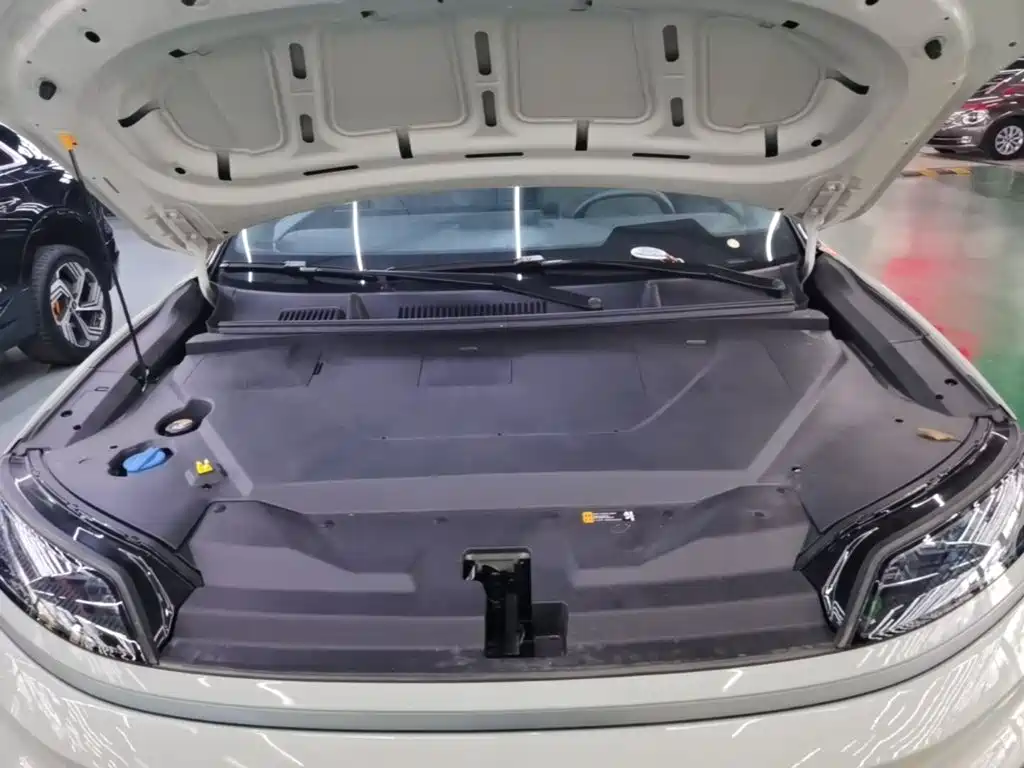 Hyundai EO — миниатюра 20