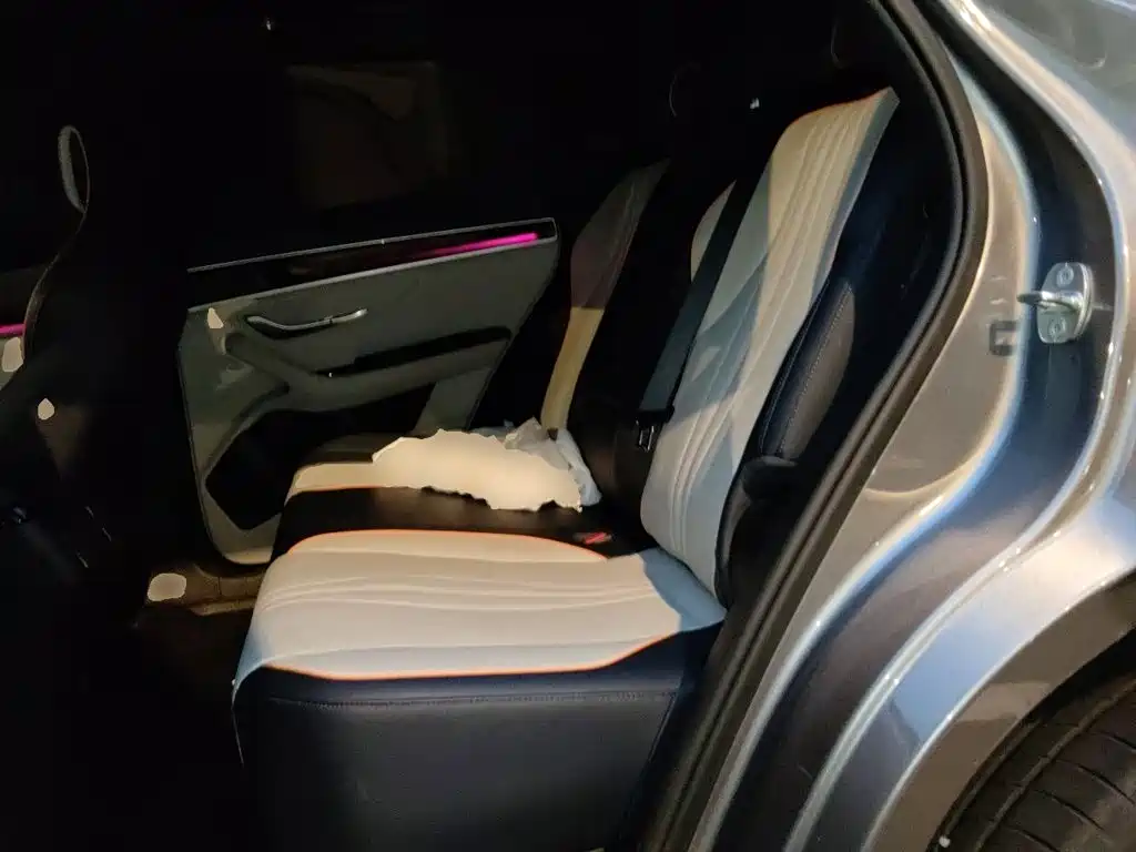 BYD PLUS New Energy — миниатюра 18