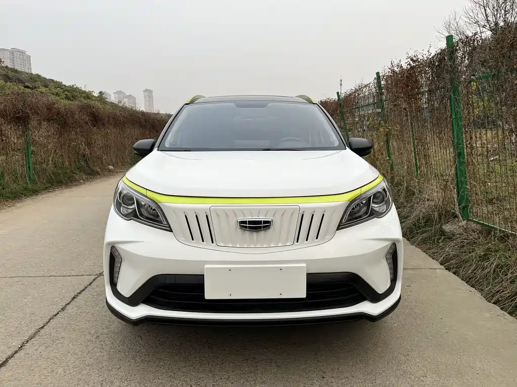 GEELY GEOMETRY EX3 KUNG FU COW
