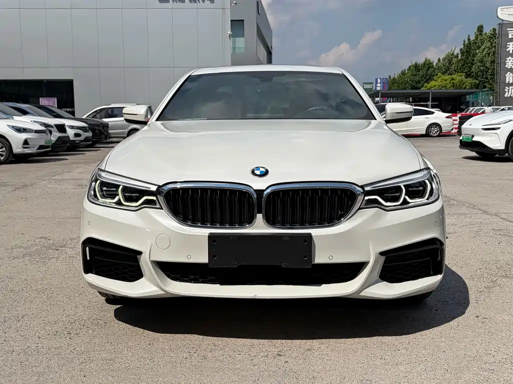 BMW 5 Series 5 2020 530Li xDrive M Sport
