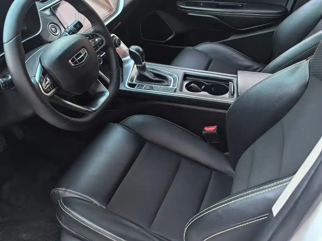 GEELY AUTOMOBILE BINRUI