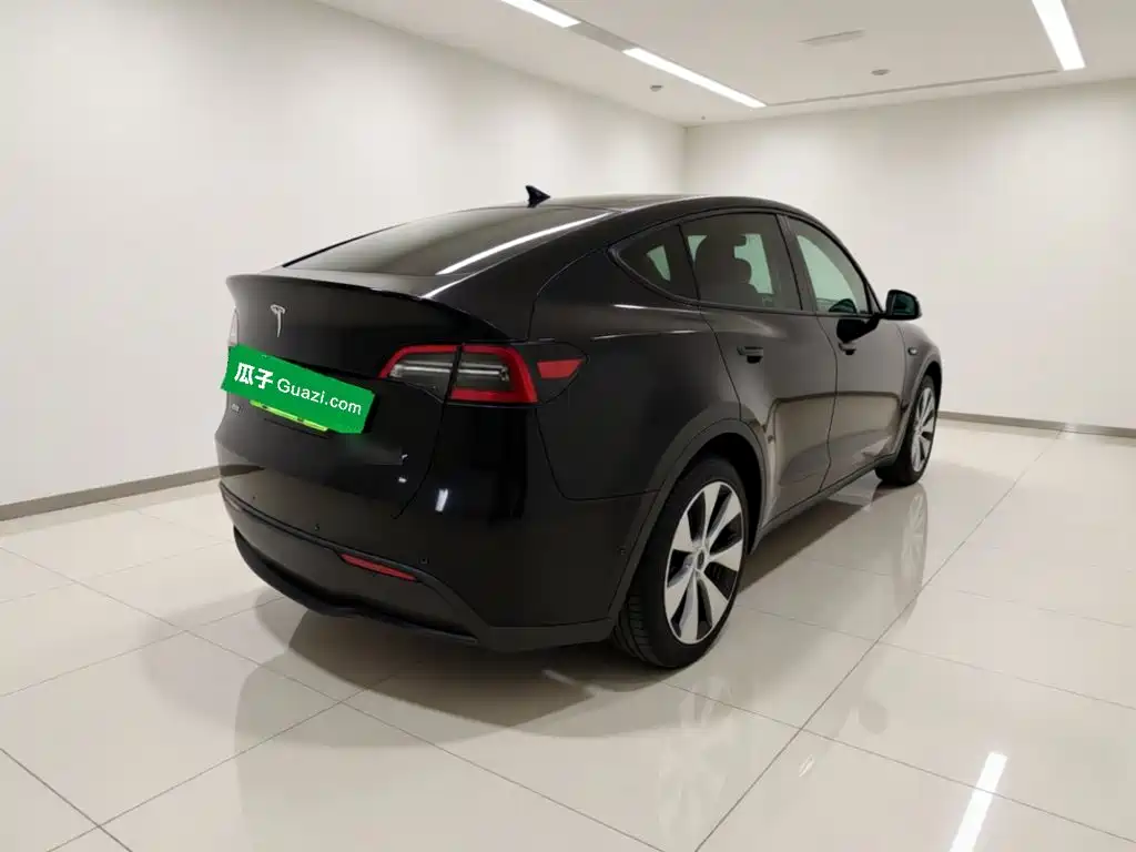 Tesla Model Y — миниатюра 6