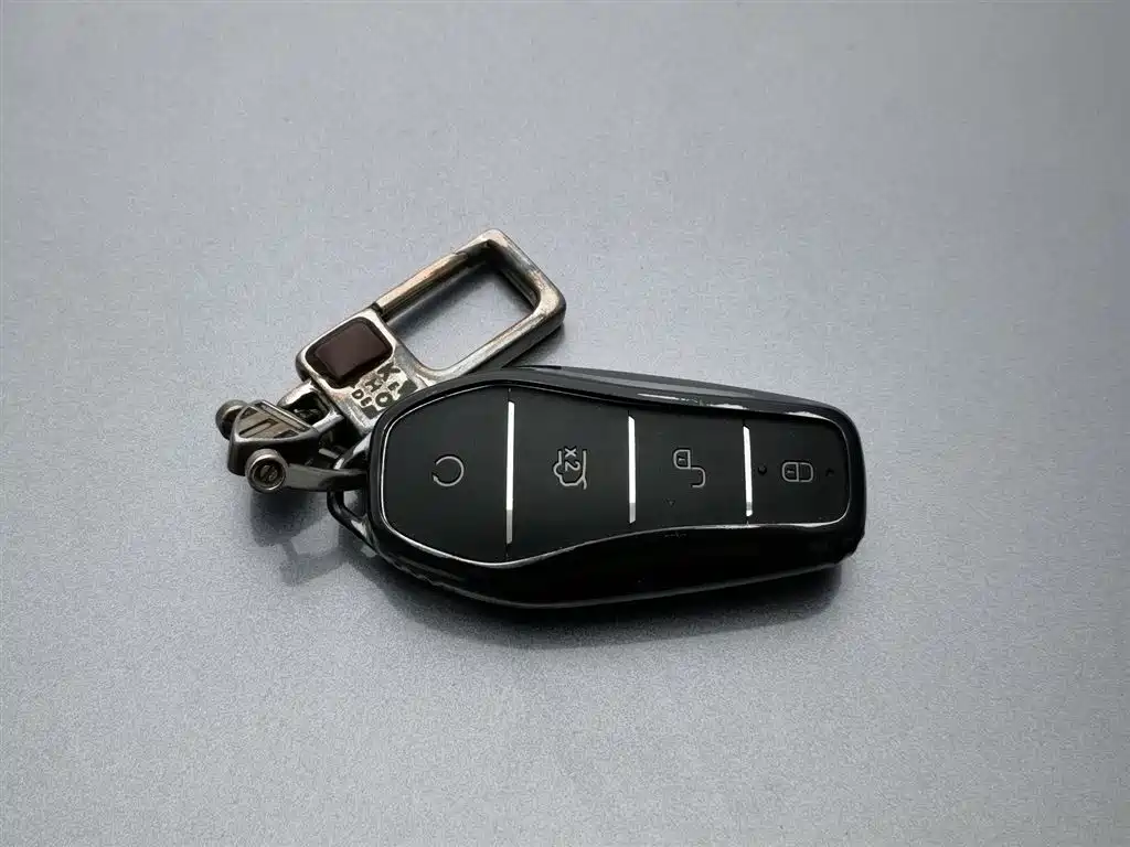 BYD SONGJIANG NEW ENERGY