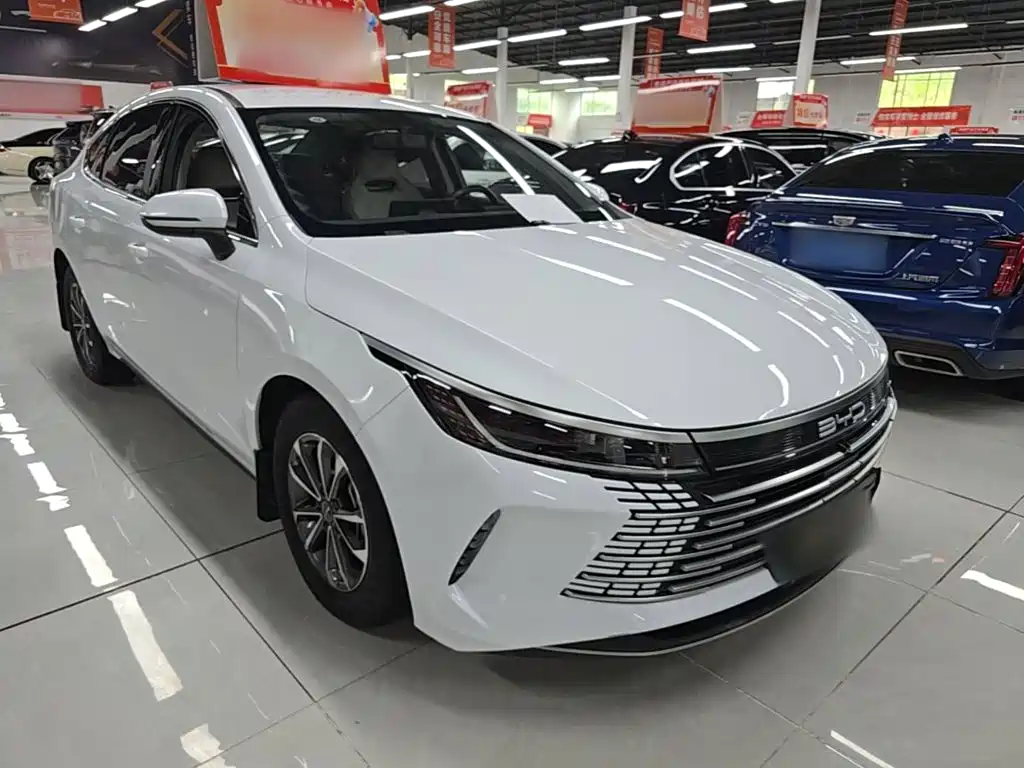 BYD Destroyer 05 2023 Champion DM-i 55KM Luxury