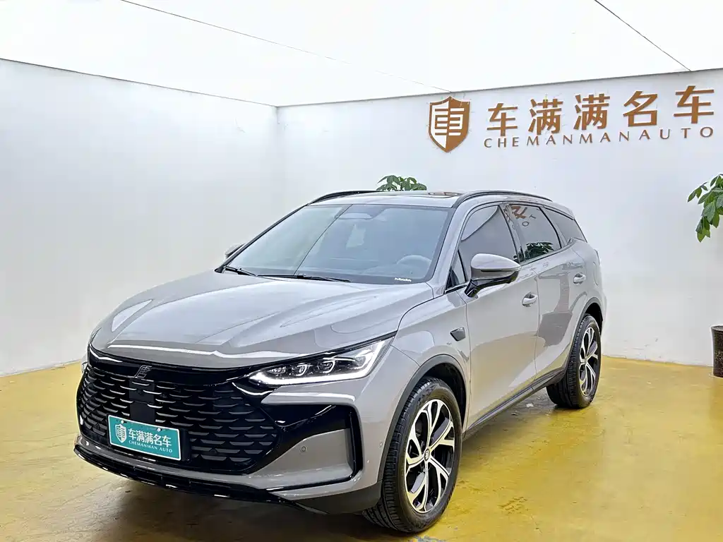 BYD Tang New Energy 2025 Smart Drive Edition DM-i 115KM Flagship Type