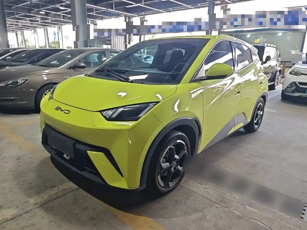 BYD Seagull