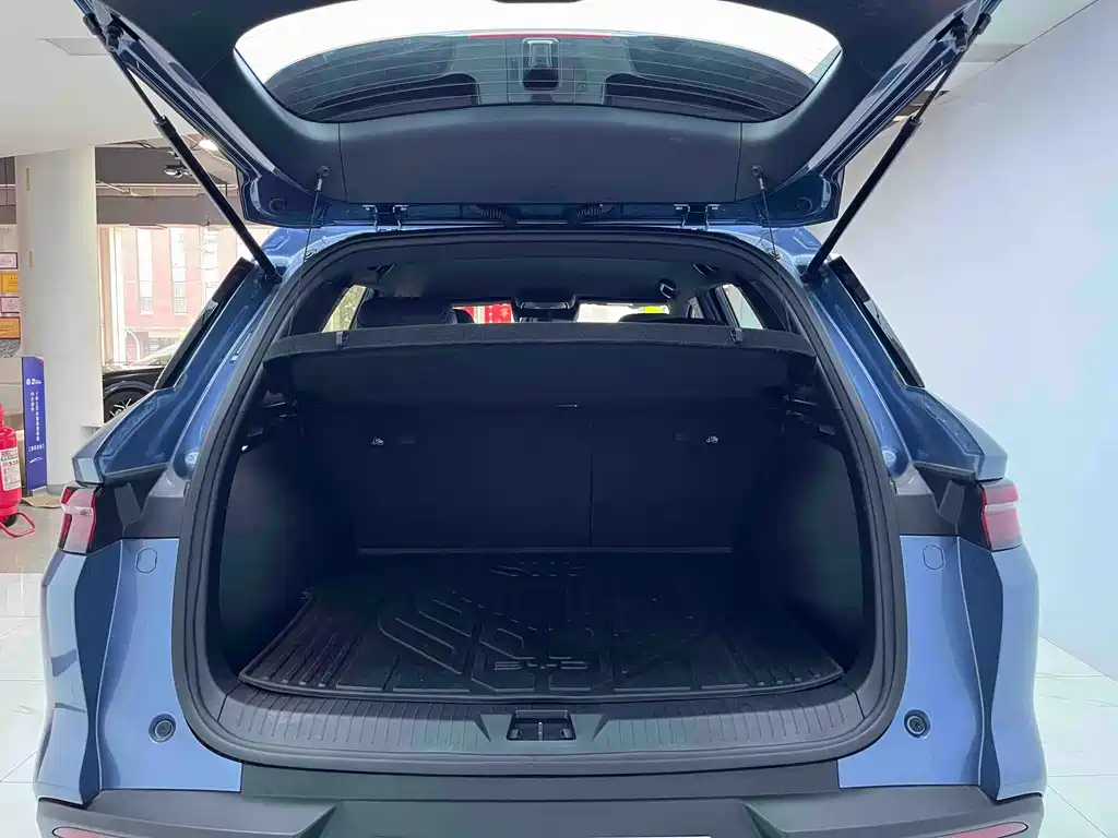 BYD SONGJIANG NEW ENERGY