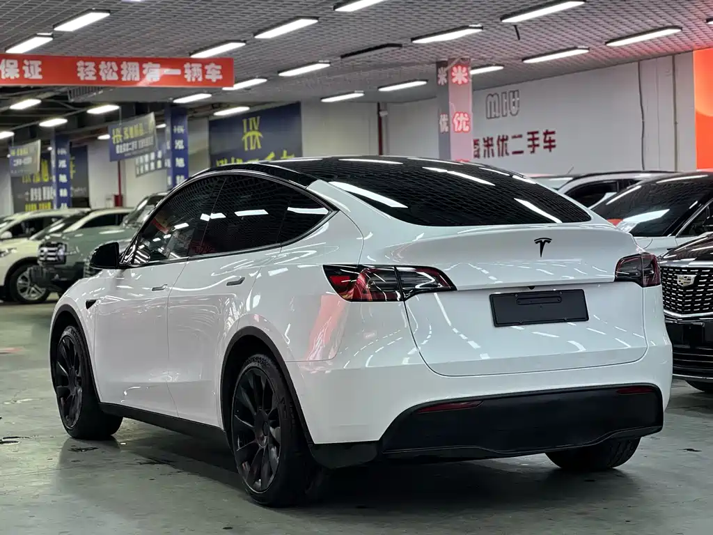 Tesla Model Y — миниатюра 6
