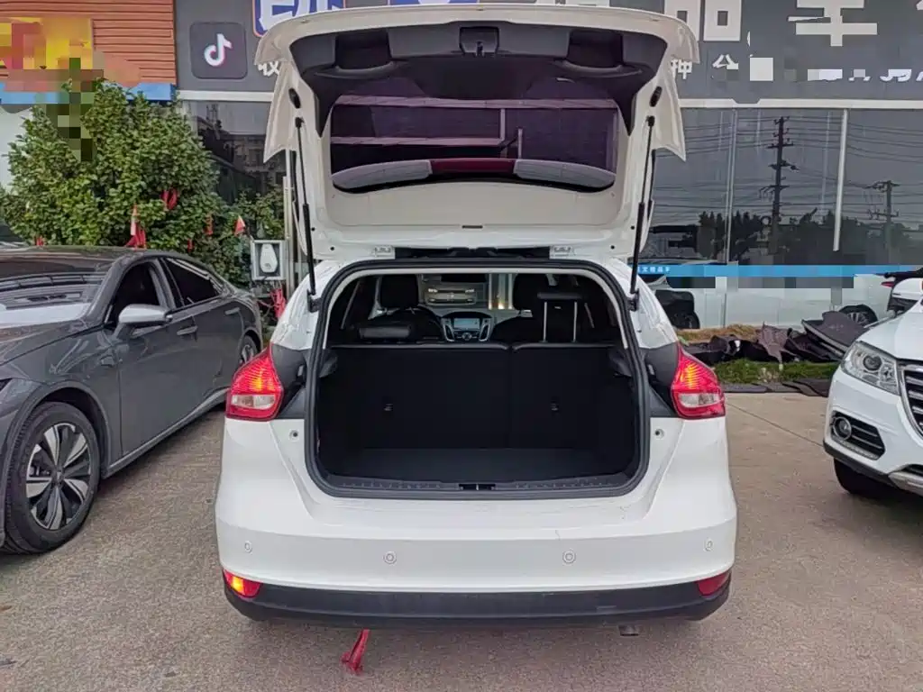 Ford Focus — миниатюра 19