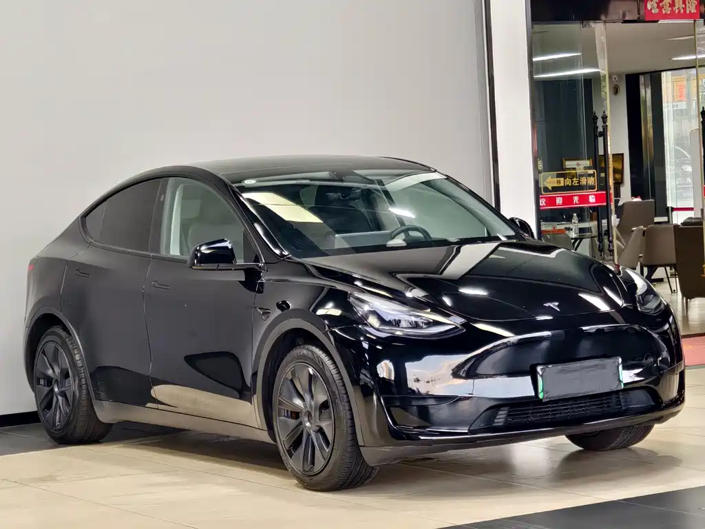 Tesla Model Y — миниатюра 3