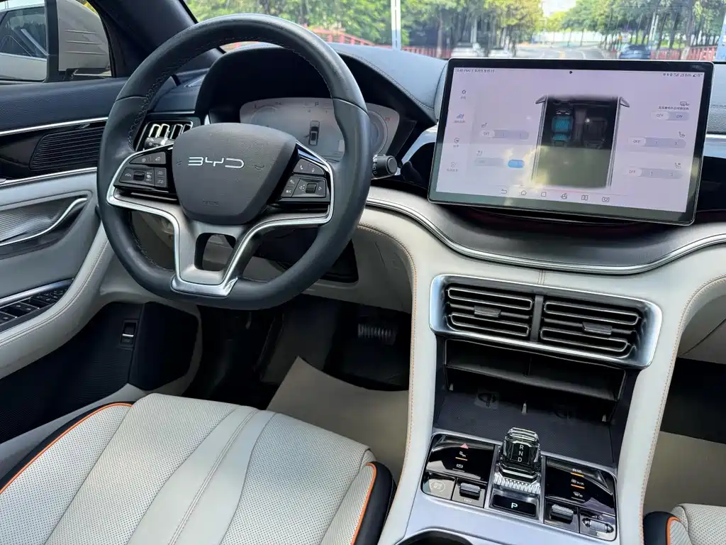 BYD PLUS New Energy — миниатюра 6